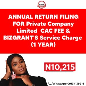 CAC Annual Returns Filing Service For Private Company Limited Registration only